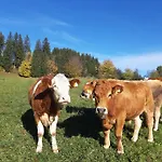 Bauernhof Ablass Goestling an der Ybbs