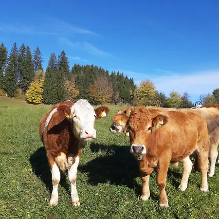 Bauernhof Ablass Goestling an der Ybbs