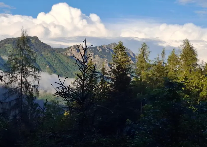 Bauernhof Ablass Homestay *