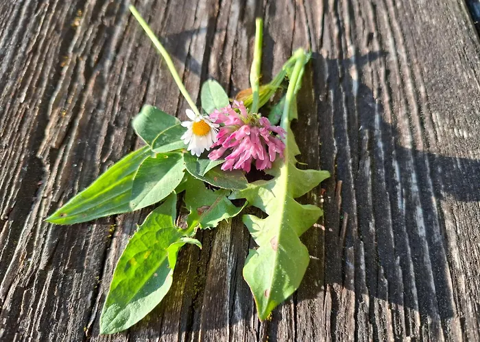 Δωμάτια σε οικογενειακή κατοικία Bauernhof Ablass *