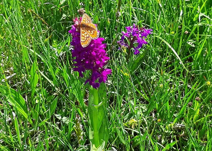 Bauernhof Ablass * Goestling an der Ybbs