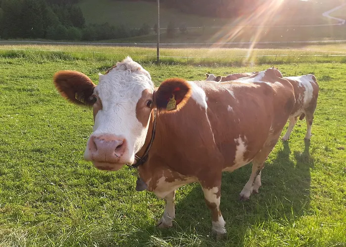 Bauernhof Ablass Δωμάτια σε οικογενειακή κατοικία